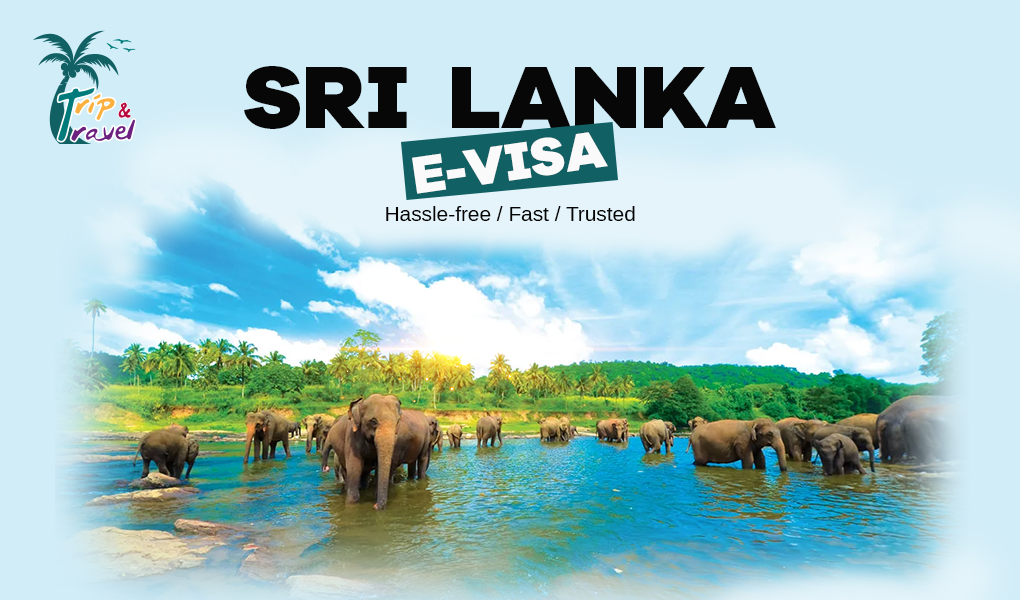 SRI LANKA E