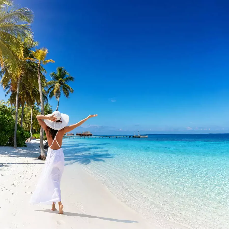 msid-80266854,width-96,height-65.cms